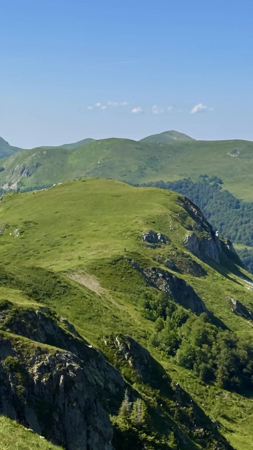 mountain green
