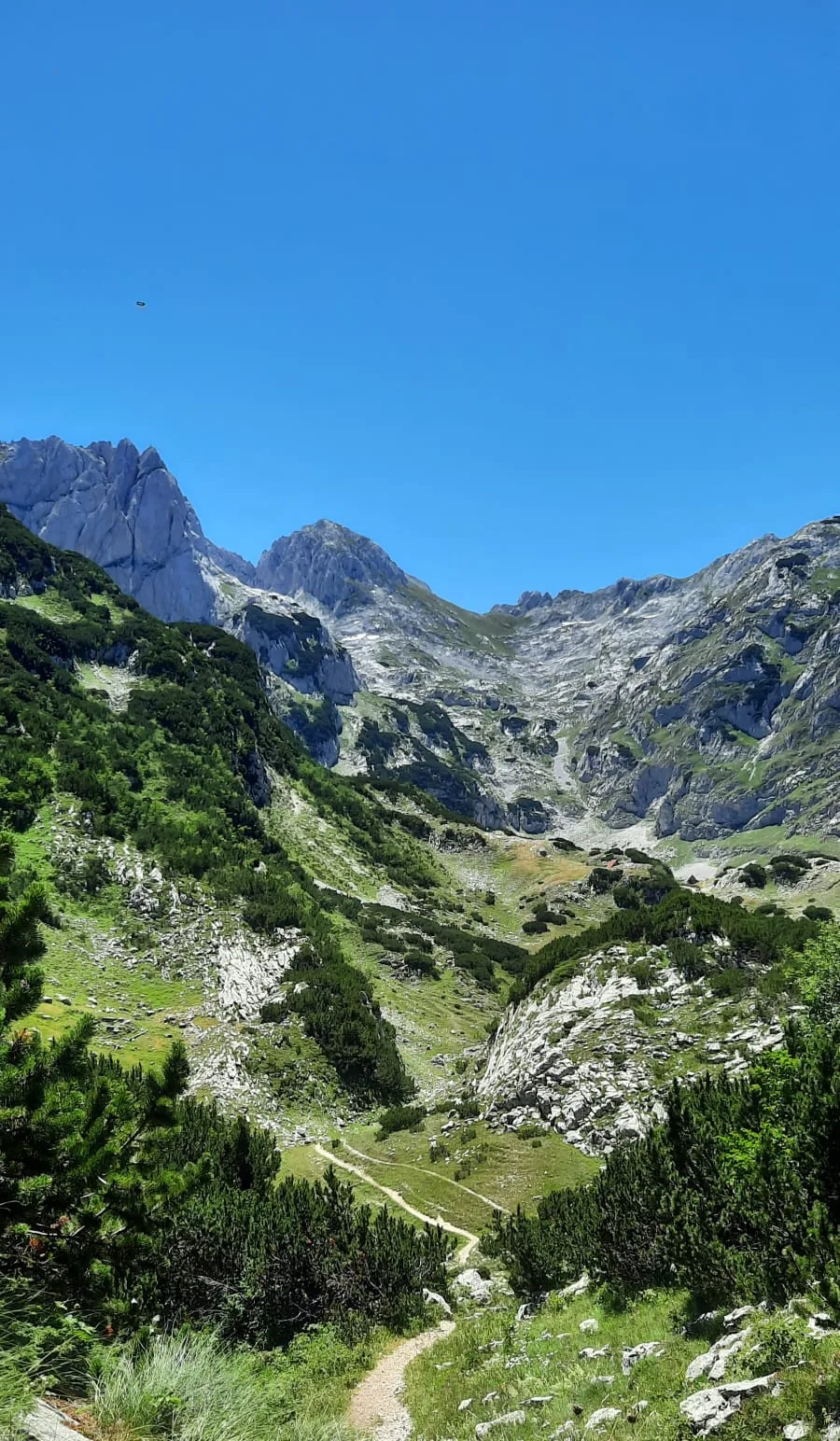 mountain path